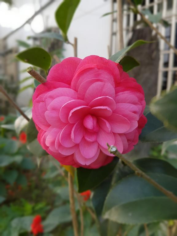 吾居吾宿 Zhixue Buitenkant foto